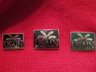 The pin was originally given to attendees of the first USAIN conference in 1990 at the University of Illinois at Urbana-Champaign